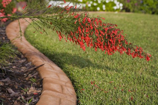 Brick Edging in Blue Springs