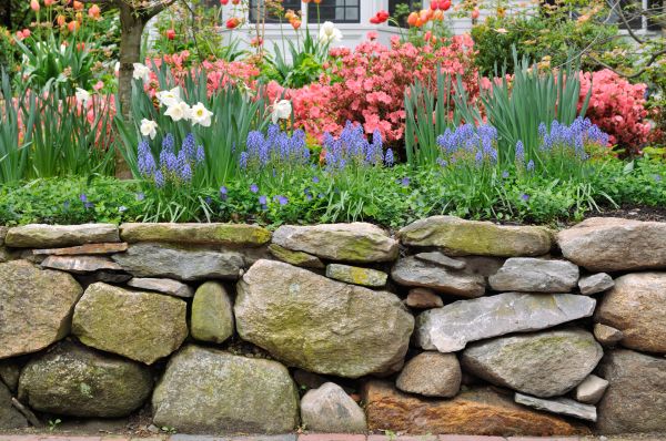 Stone Wall Hardscaping in Blue Springs